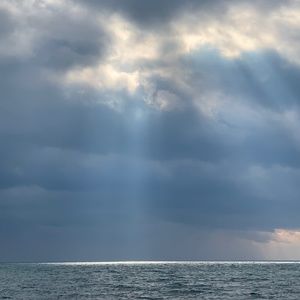 Meet your Posher, Alora